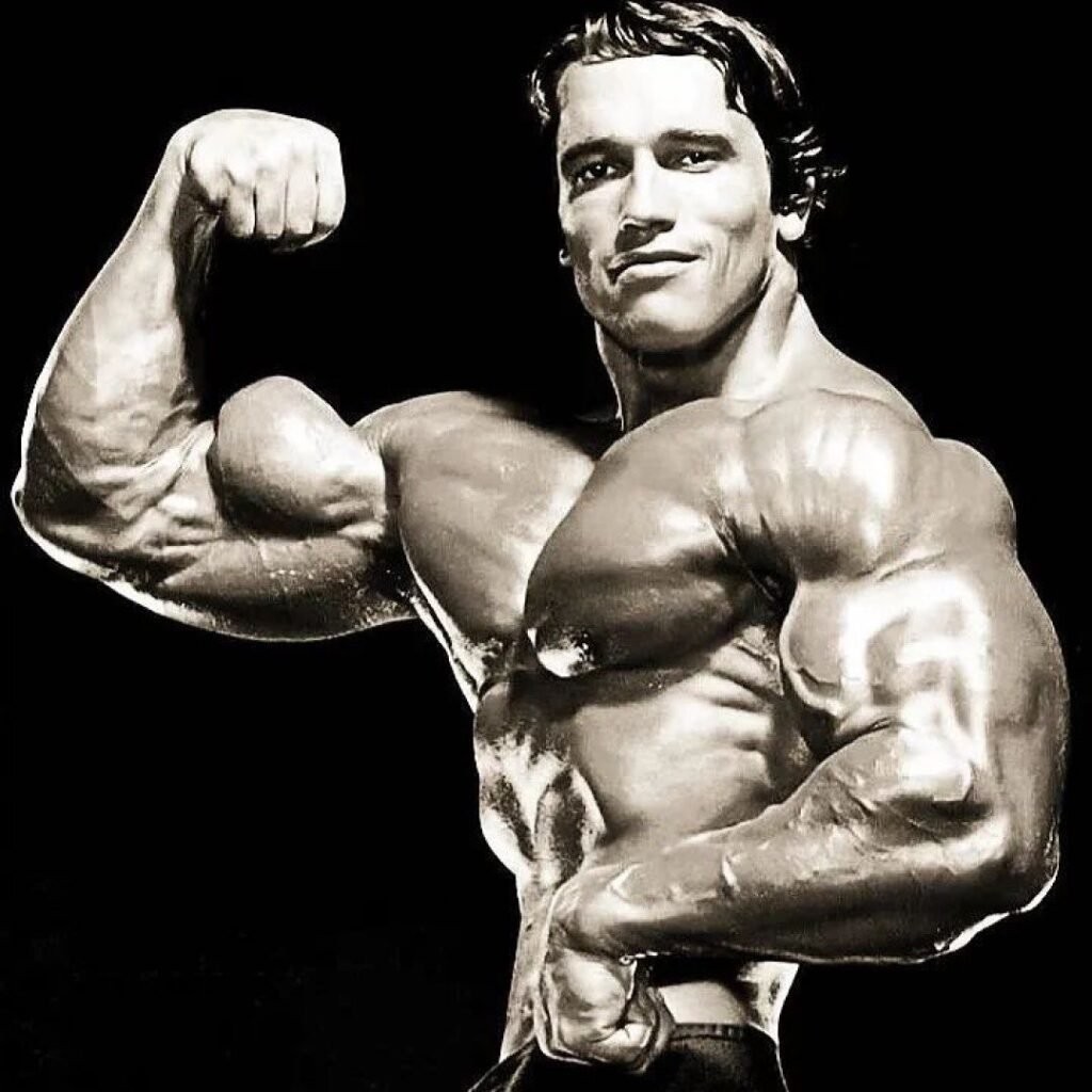 Arnold Schwarzenegger · Arnold Schwarzenegger posing